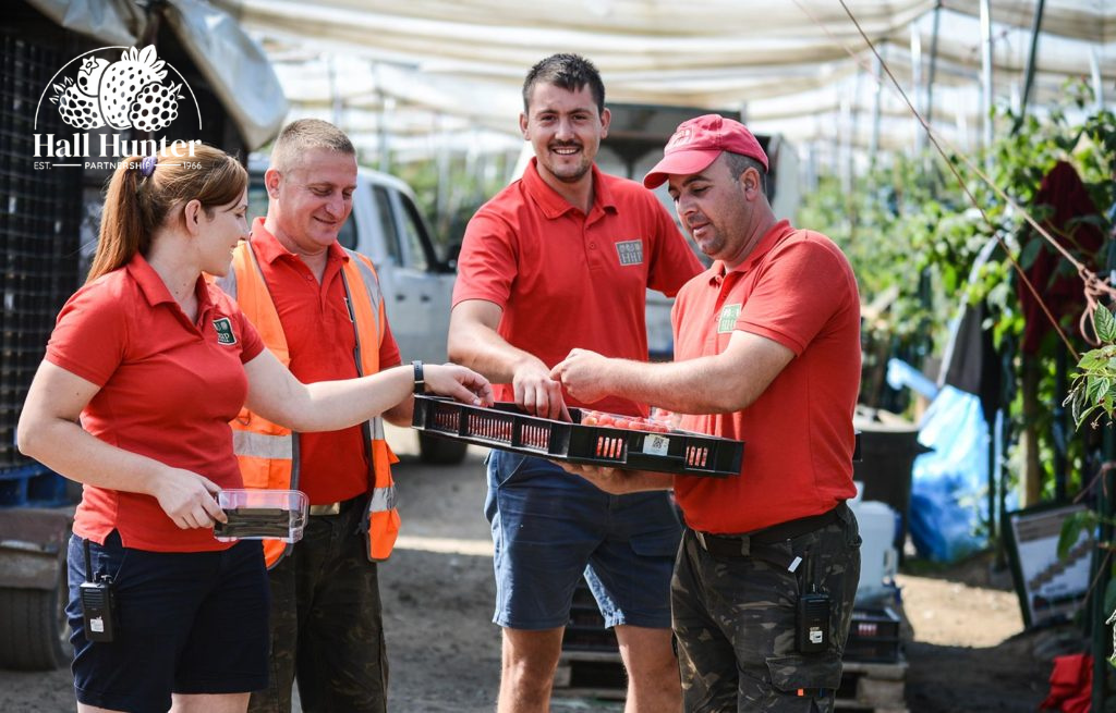 Untitled design - 2025-08-18T104929.080